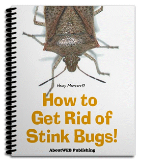 bugs stink rid insects kill ebook guide regaining sanity pesty winning solution fight against control recent perfect ways bed getting