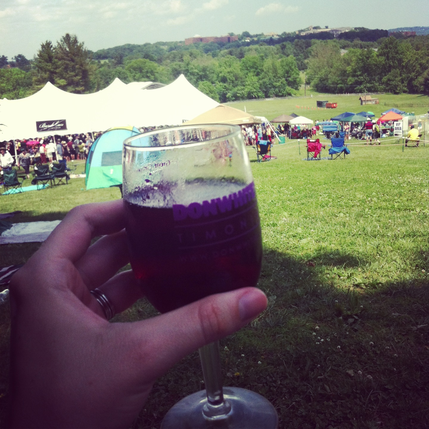 The Daily Distraction Great Grapes Wine Festival