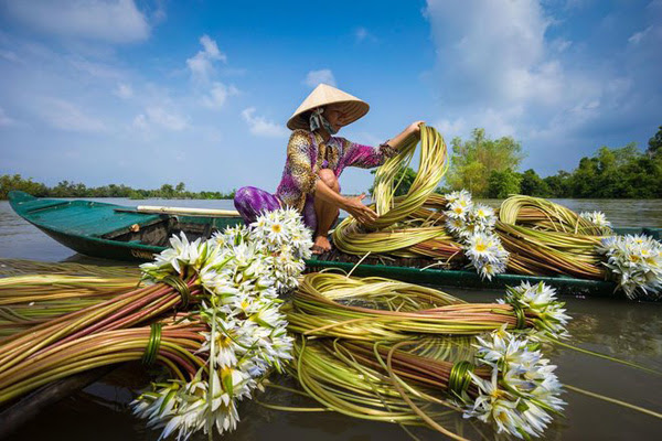 Đồng bằng sông Cửu Long