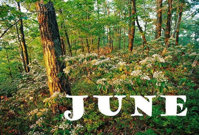 June