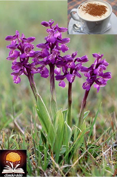 ���� ������ �� ����� ������ ������� ���� ������ �� ���� ������ ������ �������