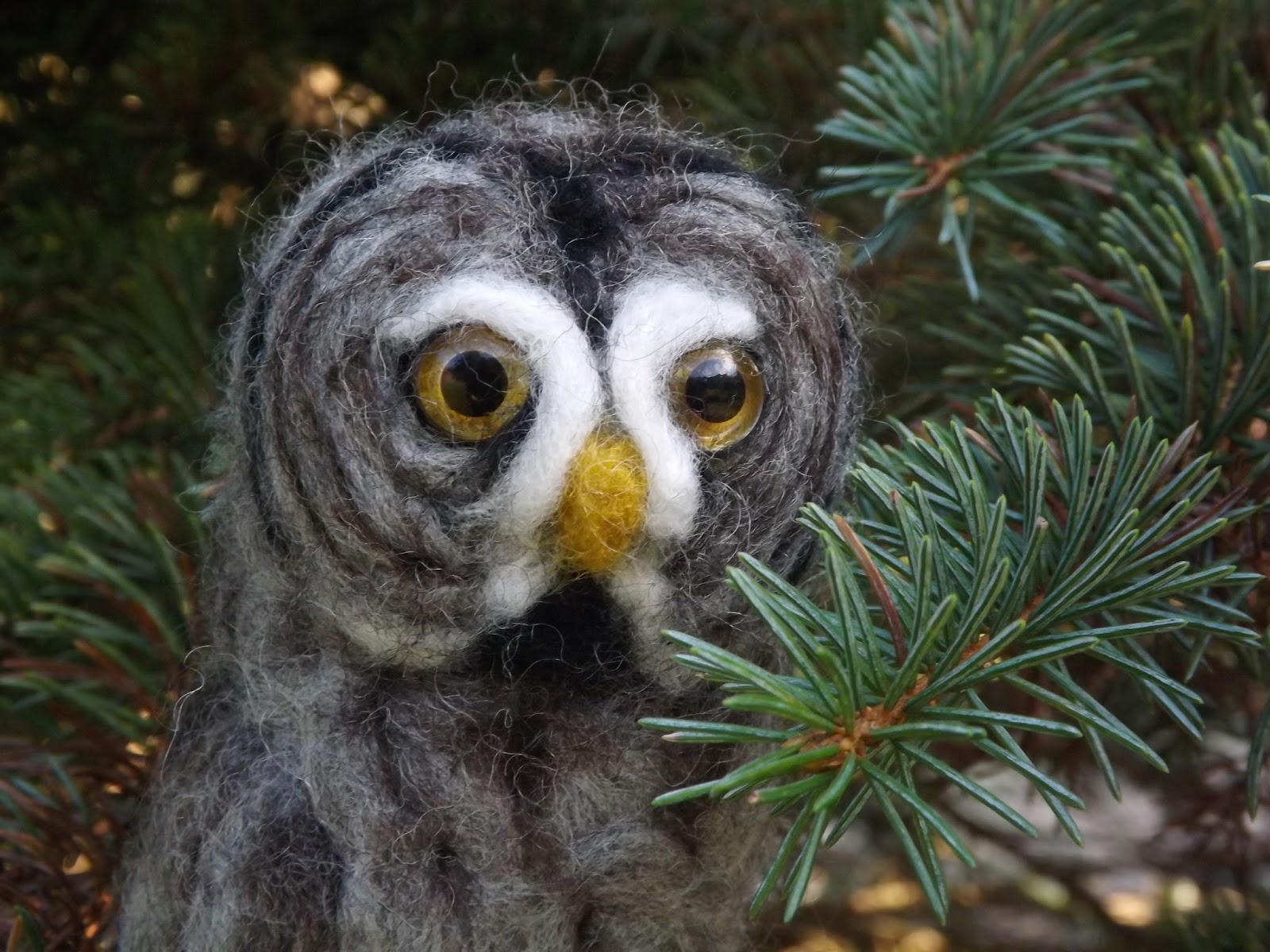 Twilight the Great Grey Owl