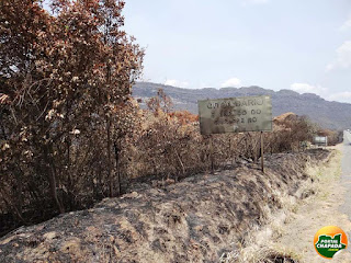 5 focos de incêndio simultâneos no Parque Nacional da Chapada Diamantina 5 focos de incêndio simultâneos no Parque Nacional da Chapada Diamantina