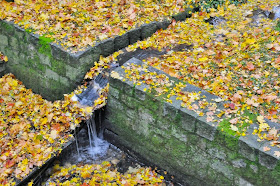 Grasgefluster Oktober 2013