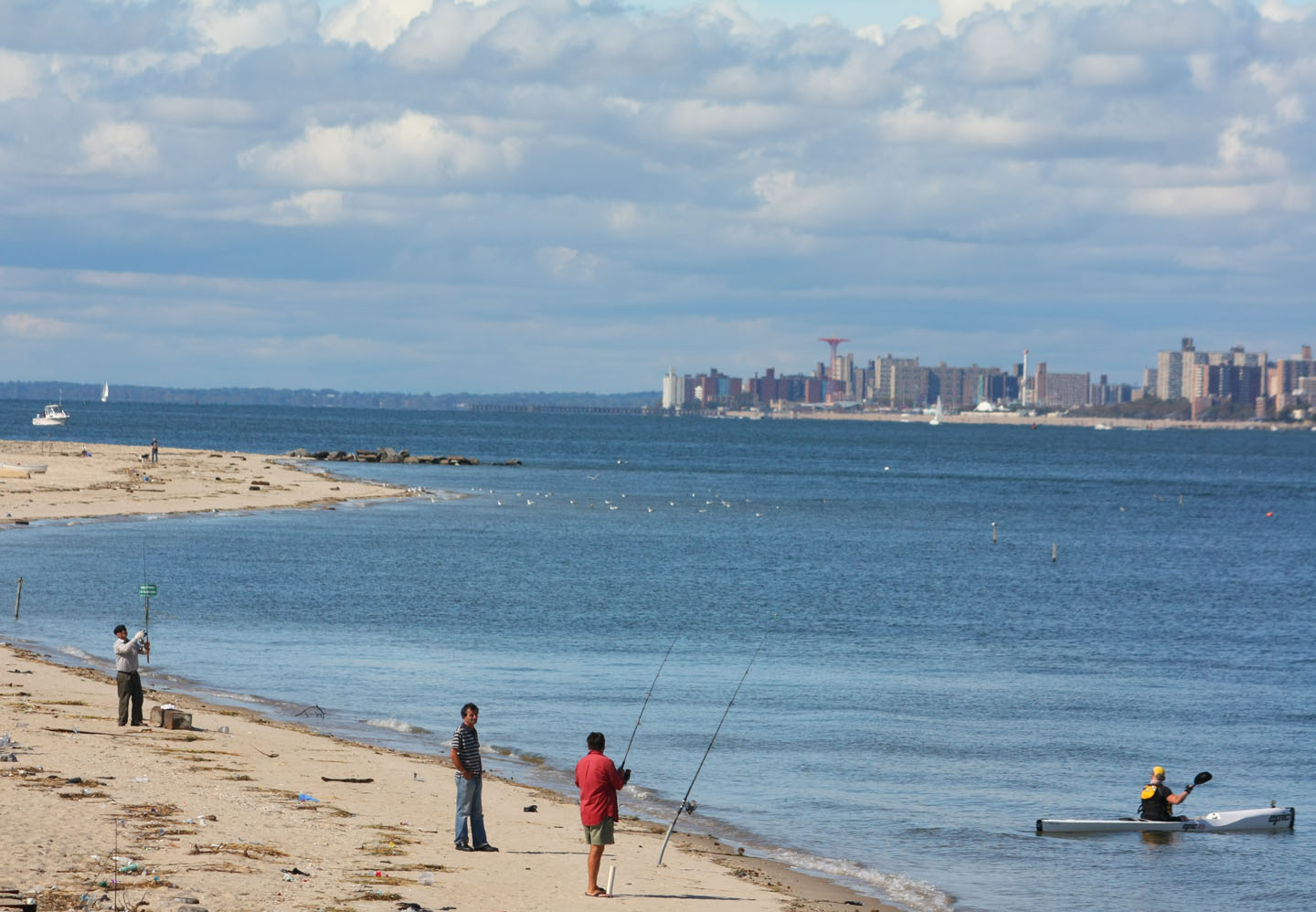 66 Square Feet (Plus) Whale Watching