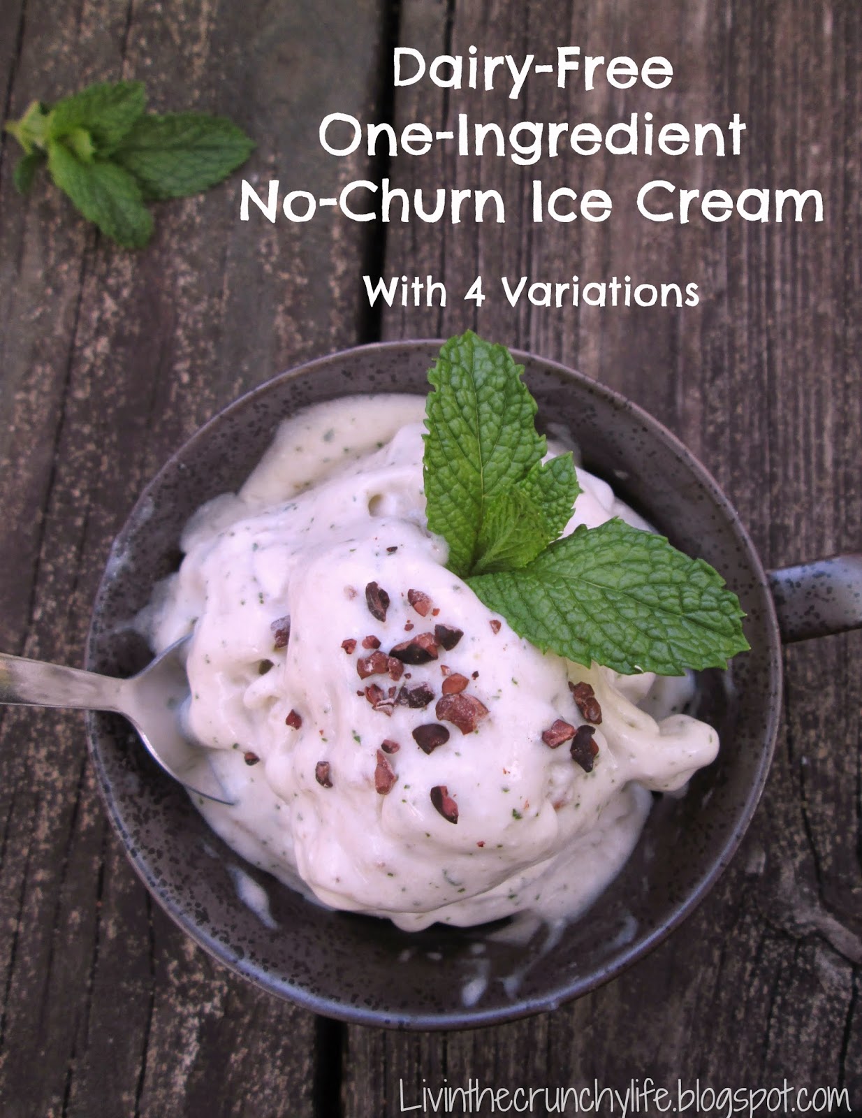 Dairyfree OneIngredient Ice Cream (No churn) Livin' the Crunchy Life