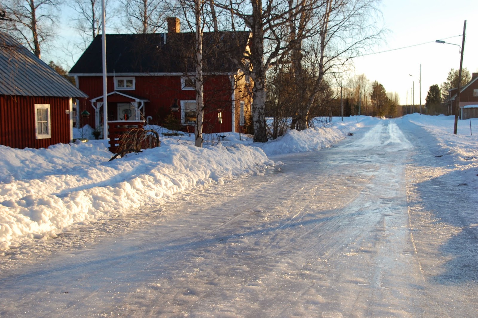 Svanå trädgård: vårtecken