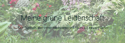 Meine grüne Leidenschaft: Ein Aschenbecher für den Garten