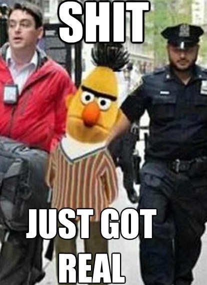 ****-just-got-real-bert-sesame-street.jpg