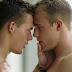 Il censimento dell'Istat apre alle coppie gay