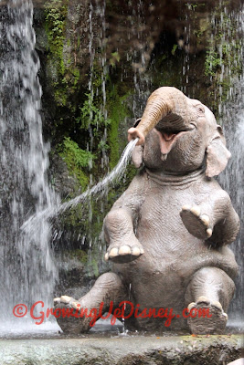 elephant spraying water at Jungle Cruise