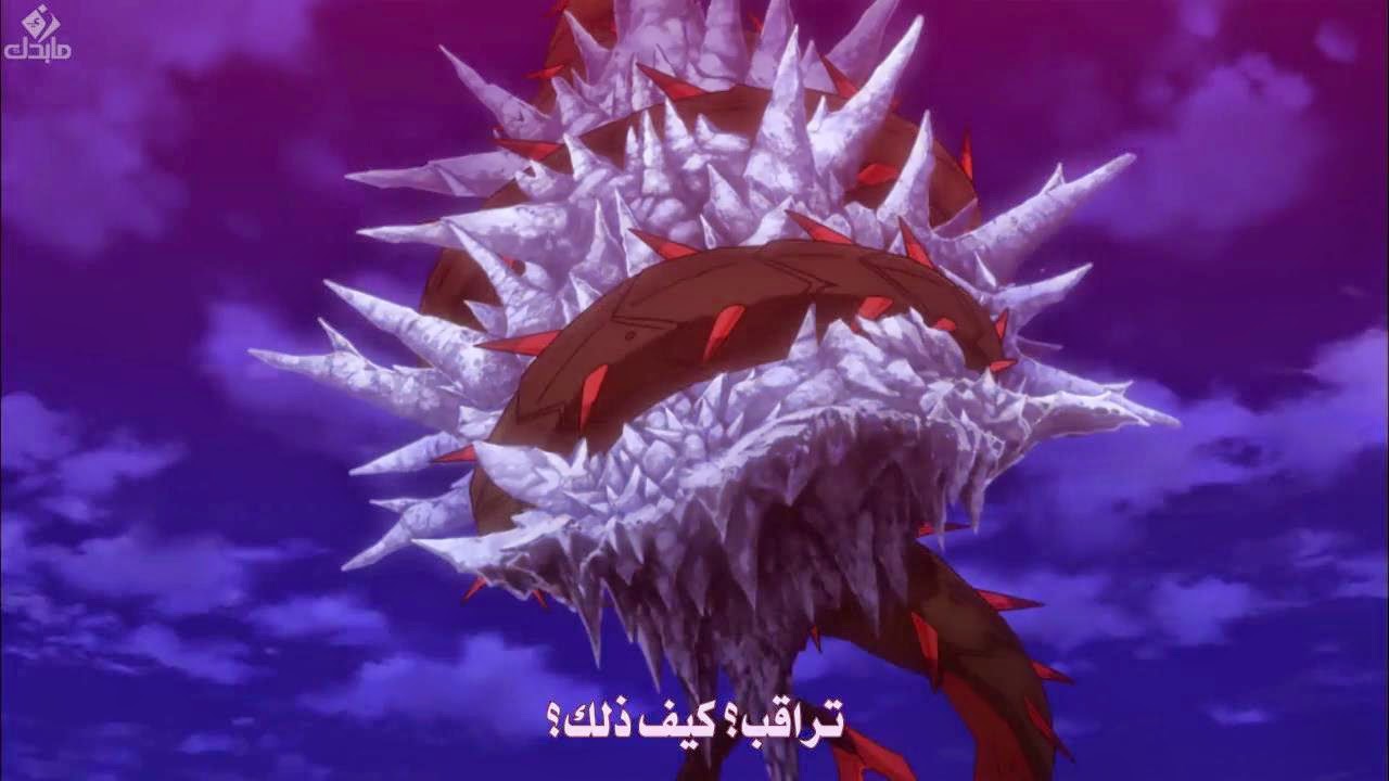 Fairy-Tail-215-online-arabic