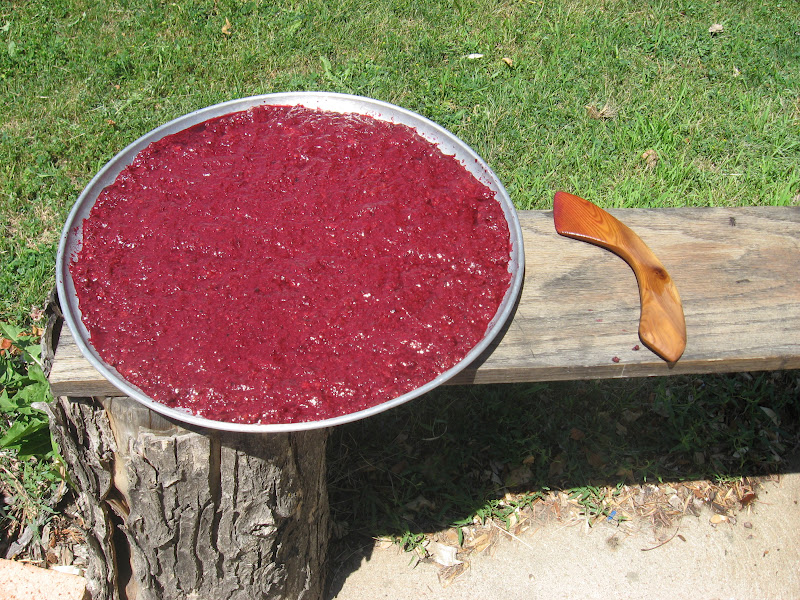 Survival in the Wasteland Choke Cherry Season