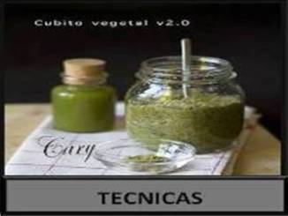 Tecnicas