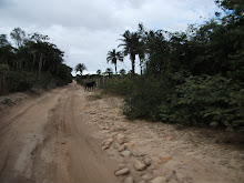 Caminhos percorridos-2011