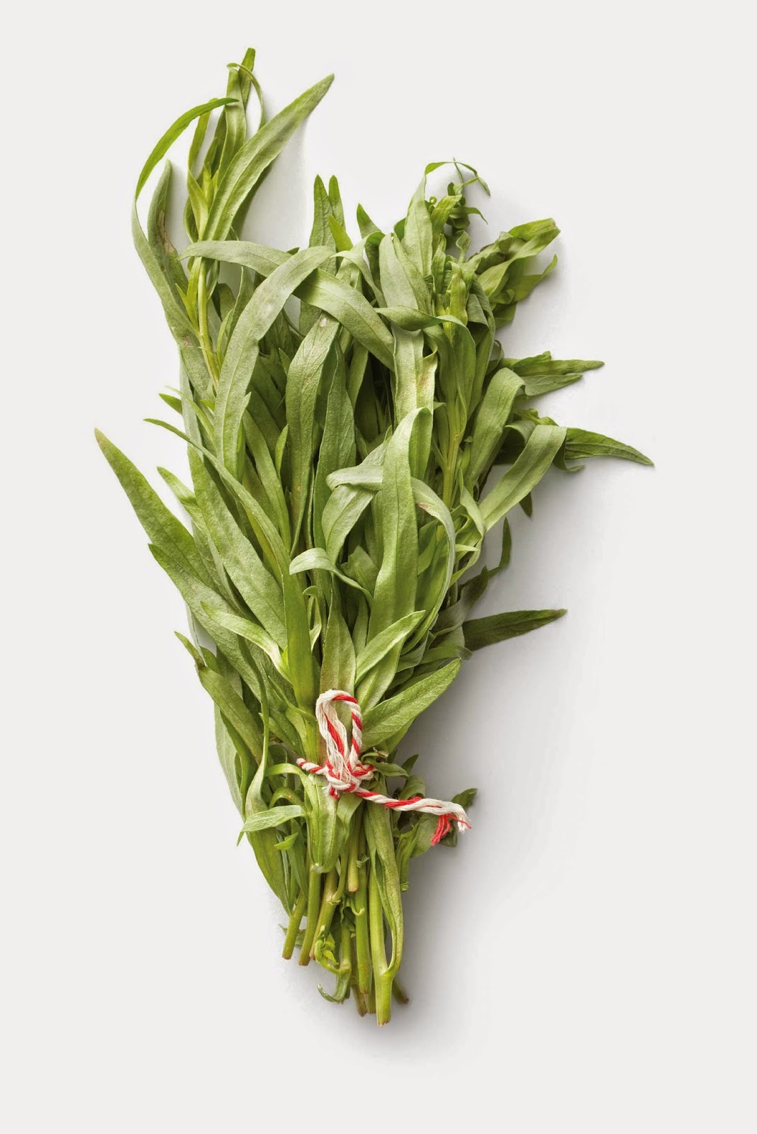 Simply Suzanne's AT HOME creamy tarragon dressing