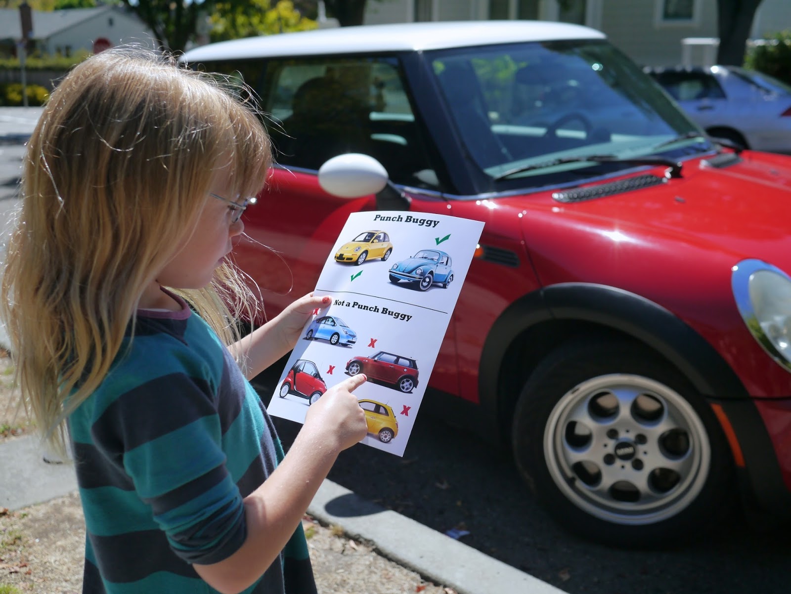 Little Hiccups: Punch Buggy Field Guide