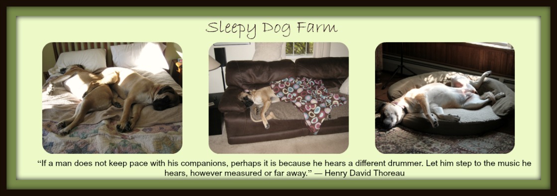Sleepy Dog Farm