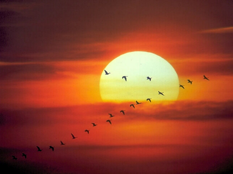 Sunrise Wallpaper Sunrise Wallpaper