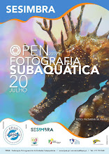 open sesimbra 2019