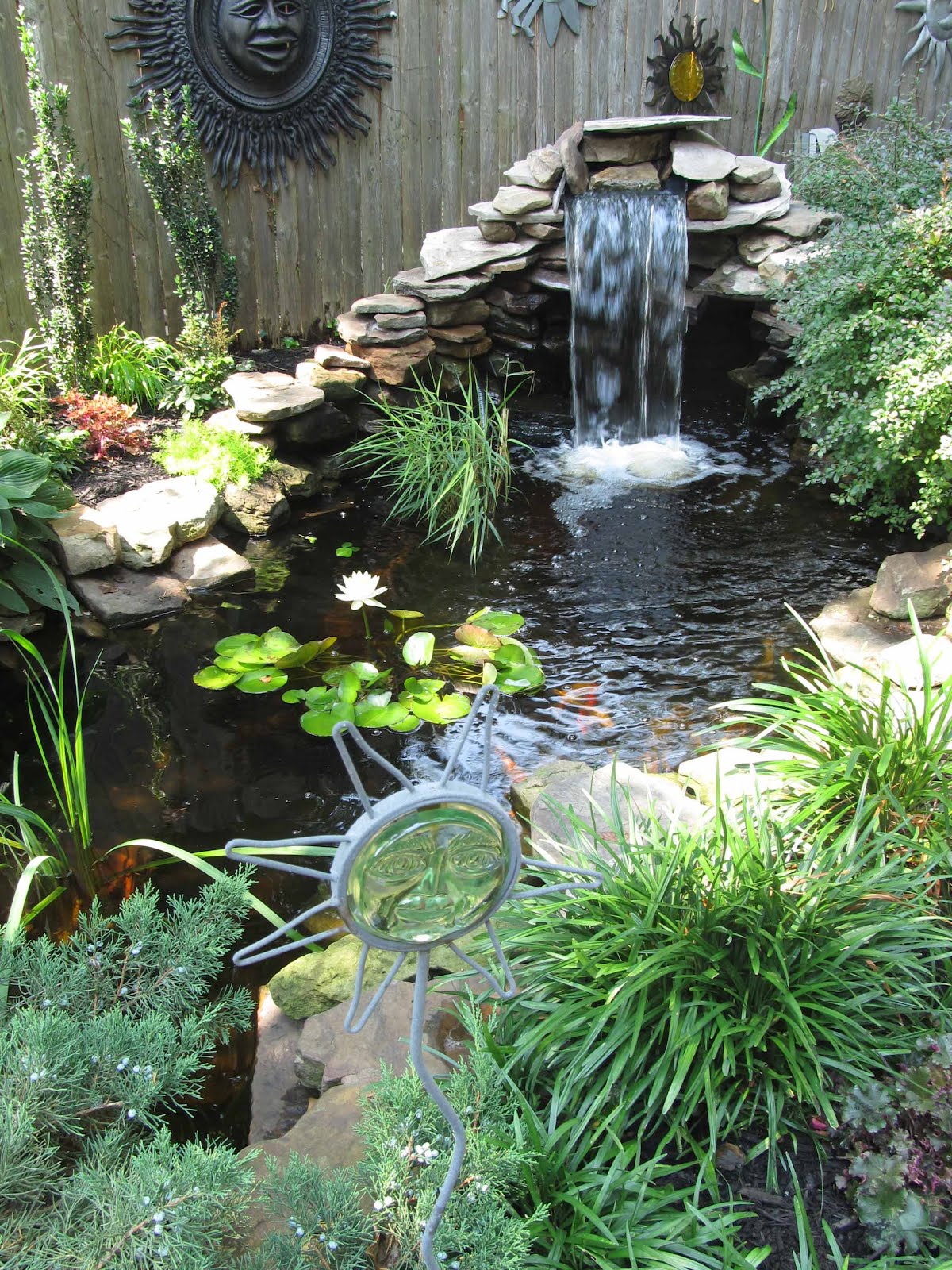 Summit Musings Friday Fences Sunday Morning Garden