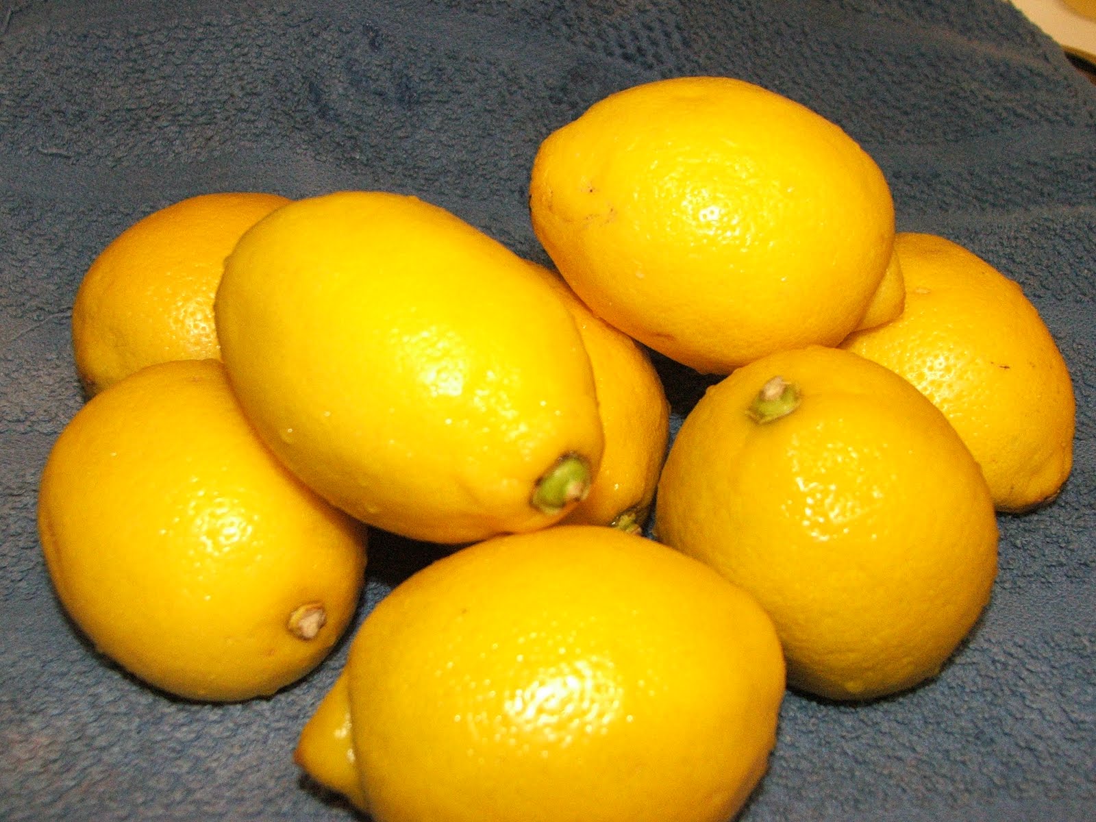 Canning Granny Canning Lemon Squash (Lemonade Concentrate)