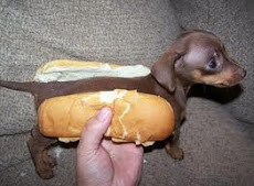 hot -dog