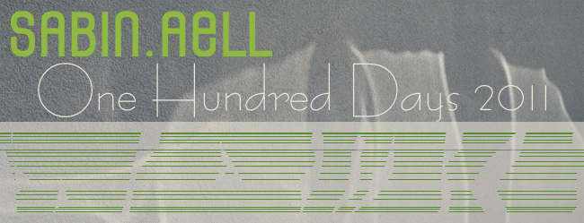 Sabin Aell | One Hundred Days 2011