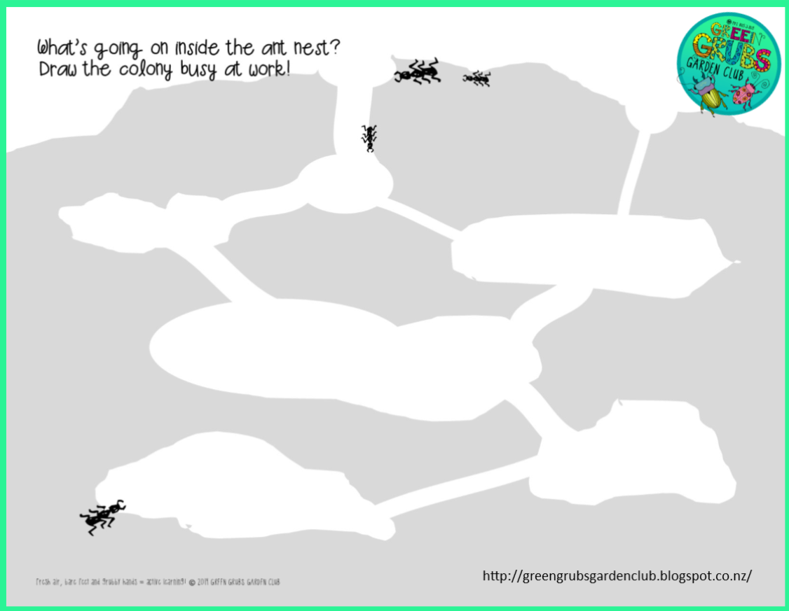 Green Grubs Garden Club Top 5 coolest facts about... ANTS!