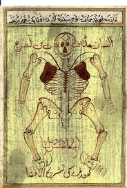Ibn I Sina Nin Meshur Eseri Ilk Kez Turkce De Kitap Haberleri