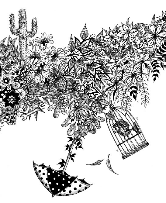 Final Major Project Johanna Basford