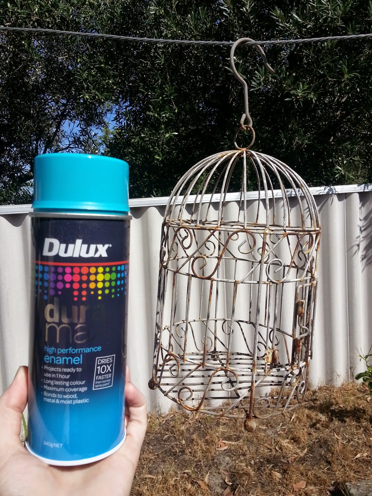 Jarrah Jungle A Whole Lot Of Painting With Dulux Duramax + A Giveaway