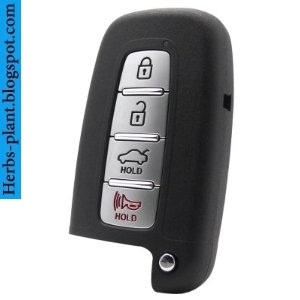 Hyundai elantra car 2012 key - صور مفاتيح سيارة هيونداى النترا 2012 Hyundai elantra car 2012 key - صور مفاتيح سيارة هيونداى النترا 2012