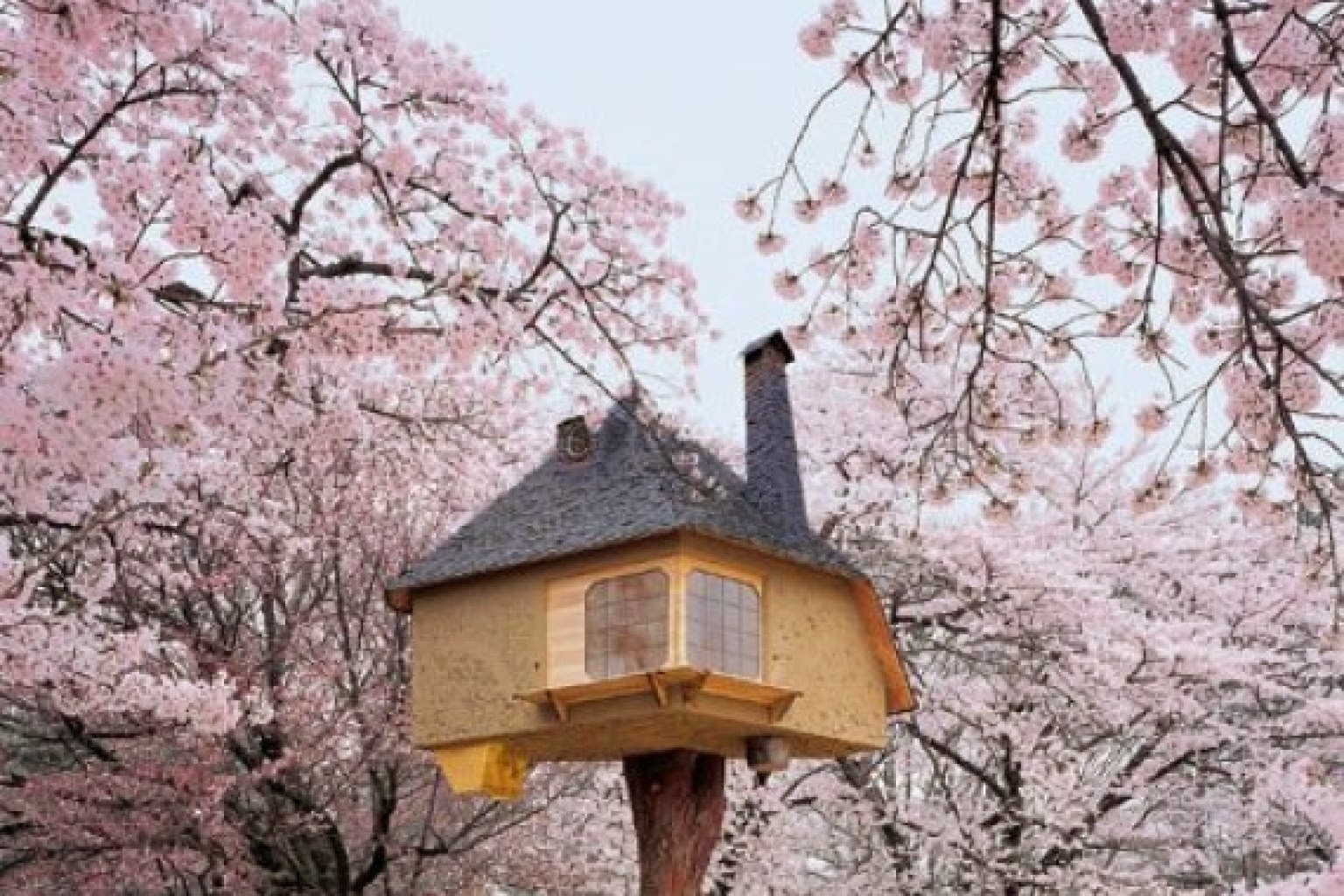 Hunting+Tree+House And sometimes just plain amusing images of what other people are doing ...