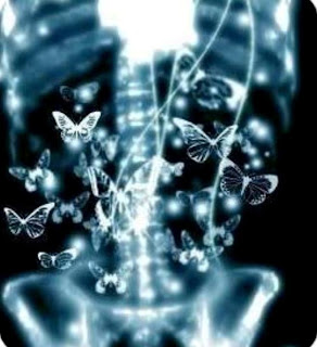 butterflies-in-the-stomach-butterfly-cute-love-lovely-Favim.com-258977.jpg