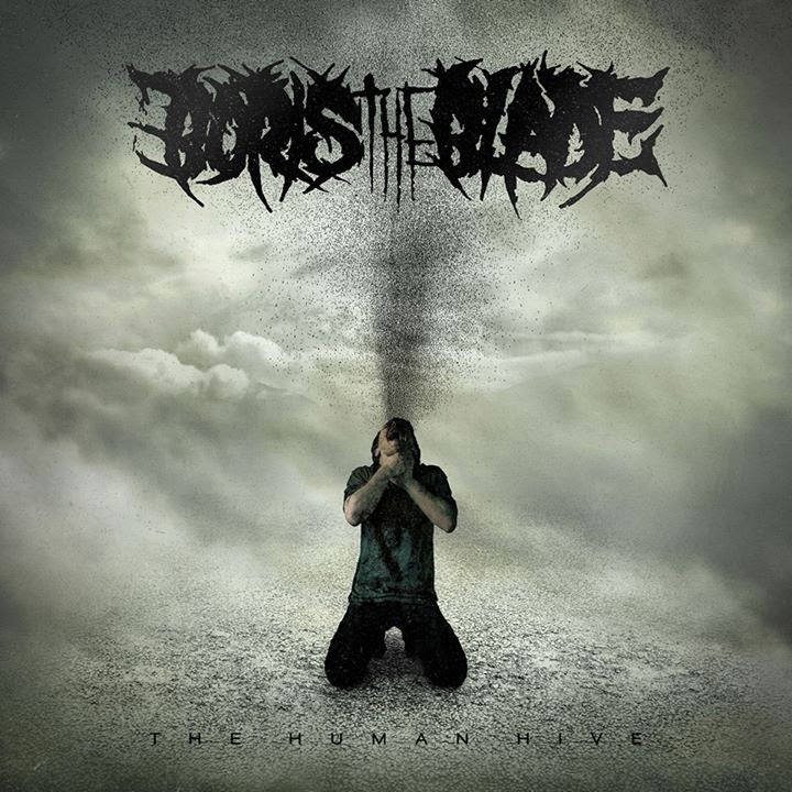 DVMPE - TV FAN PODCASTING