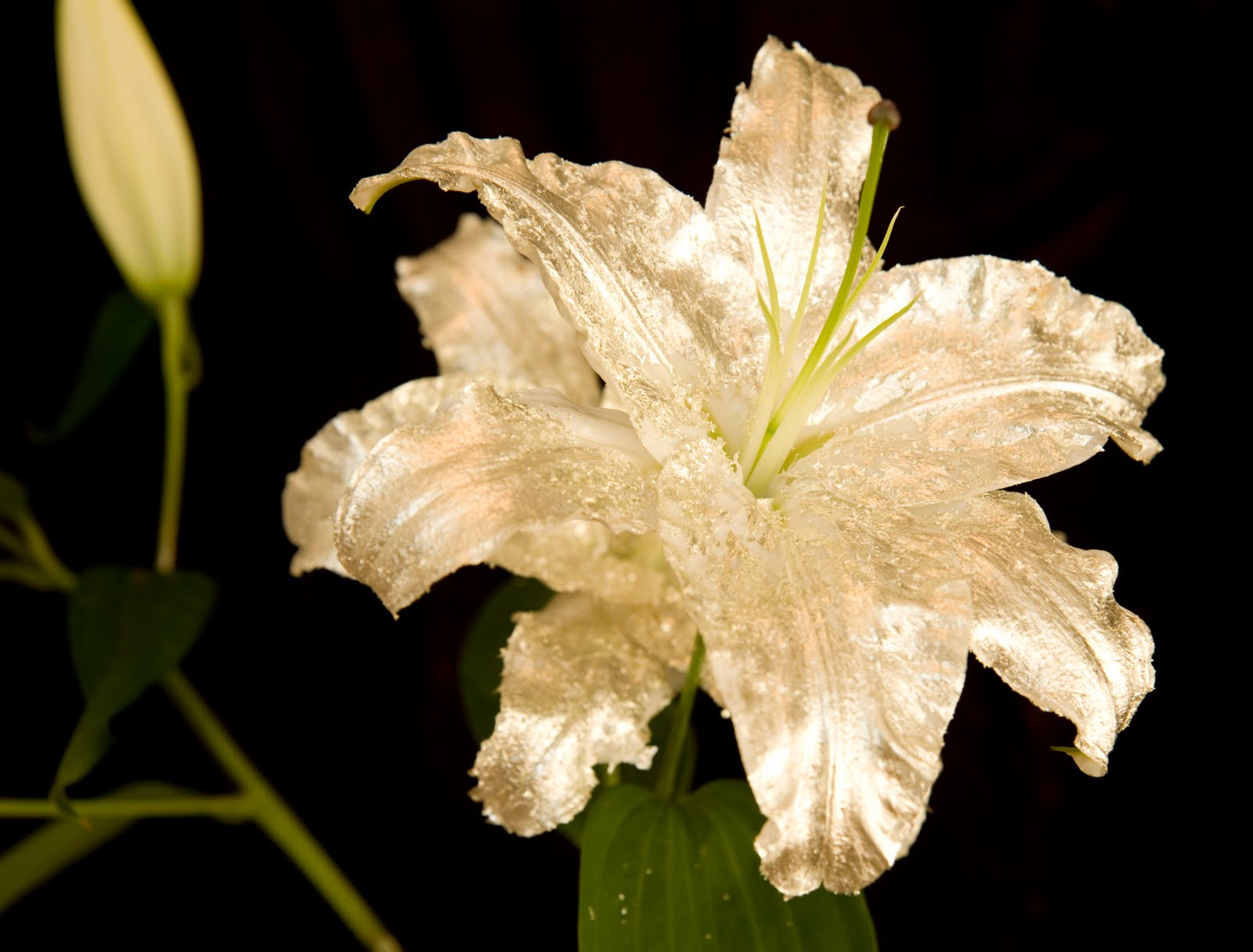London Gilding Gilding In My Studio