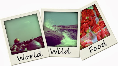 World Wild Food