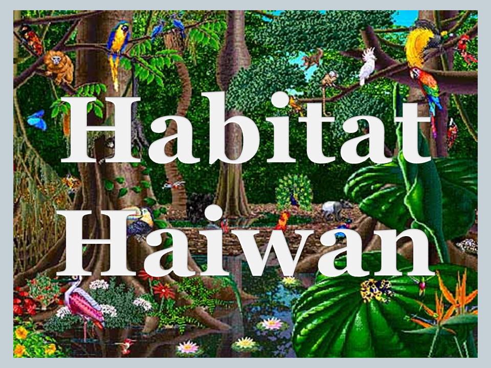 Bahasa Malaysia Tahap Satu Bahasa Malaysia Habitat Haiwan