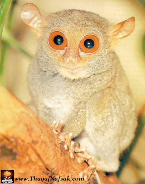 ���� ������ �� ����� ������ ������� ���� ������ �� ���� ������ ������ �������