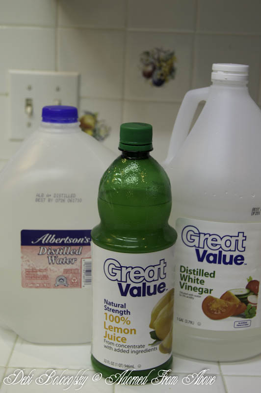 Adorned From Above Natural Ammonia Free Window Cleaner