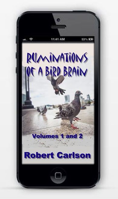 If you like my Blogs, you will love my eBooks at amazon and B&N