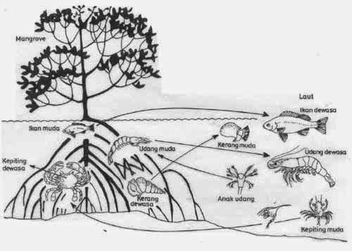 Maya Puspita Sari Tugas Kelompok 5