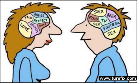 Epic Funny Comments Memes Pictures Versus