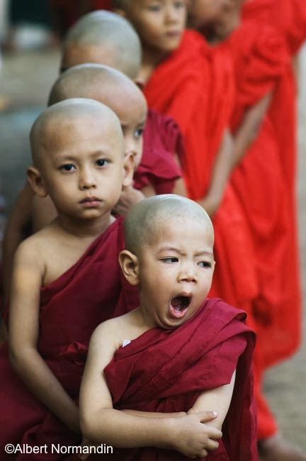 Monks in training