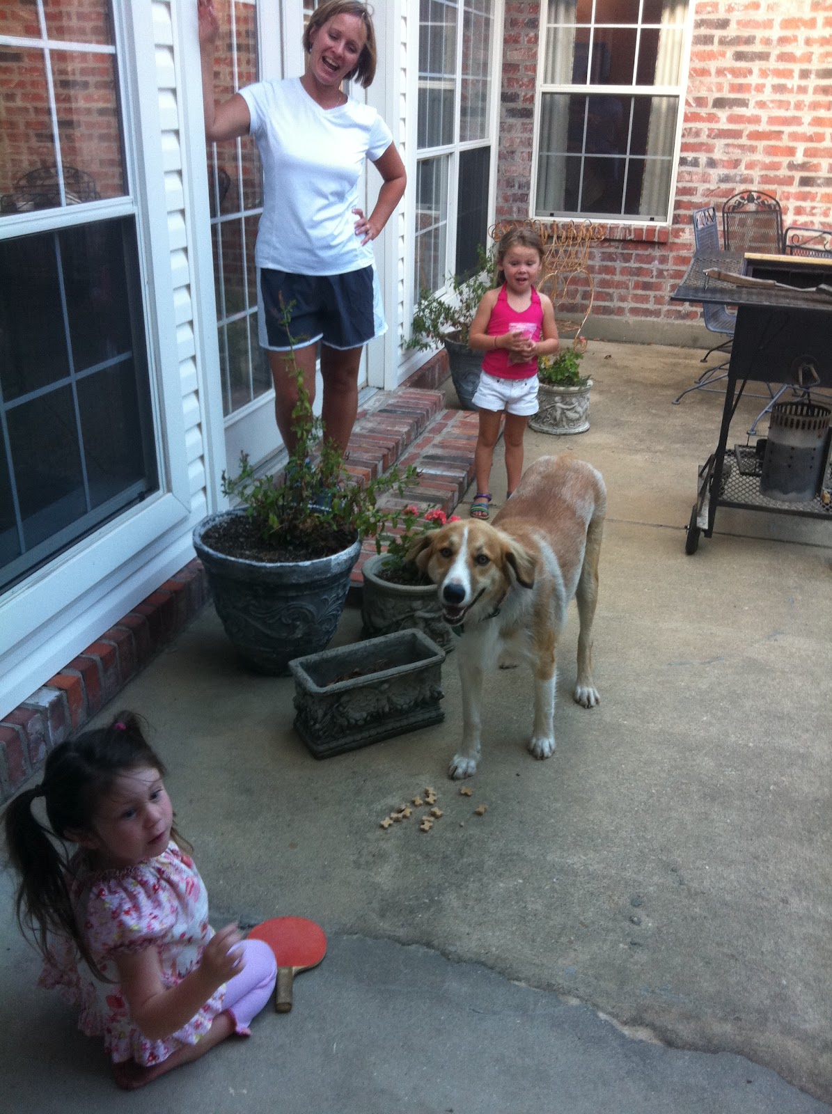 Mojoy: Happy Birthday, Cooper.