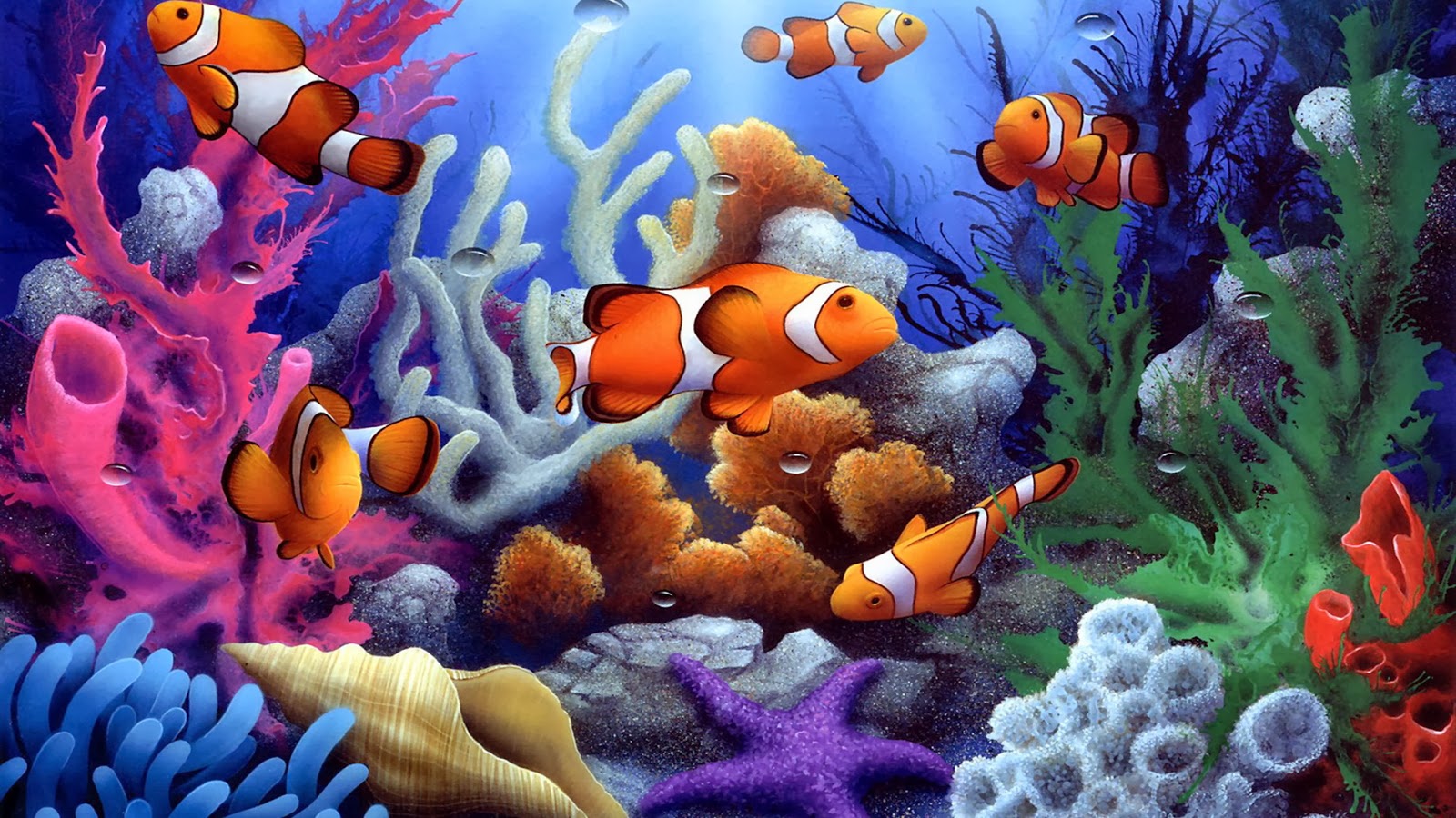 underwater coral free fish wallpaper beautiful desktop nature themed christmas tree