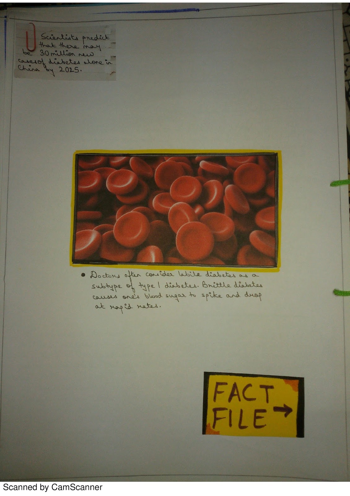 Class 12 SCIENCE Practical Readings and Projects: ISC Biology Project