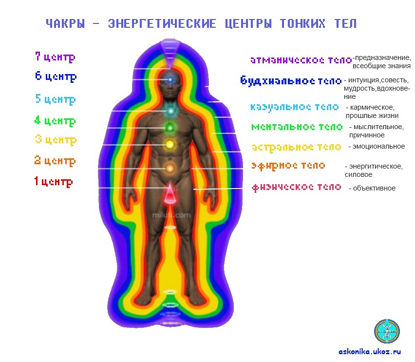 Кэтсьюит с доступом 