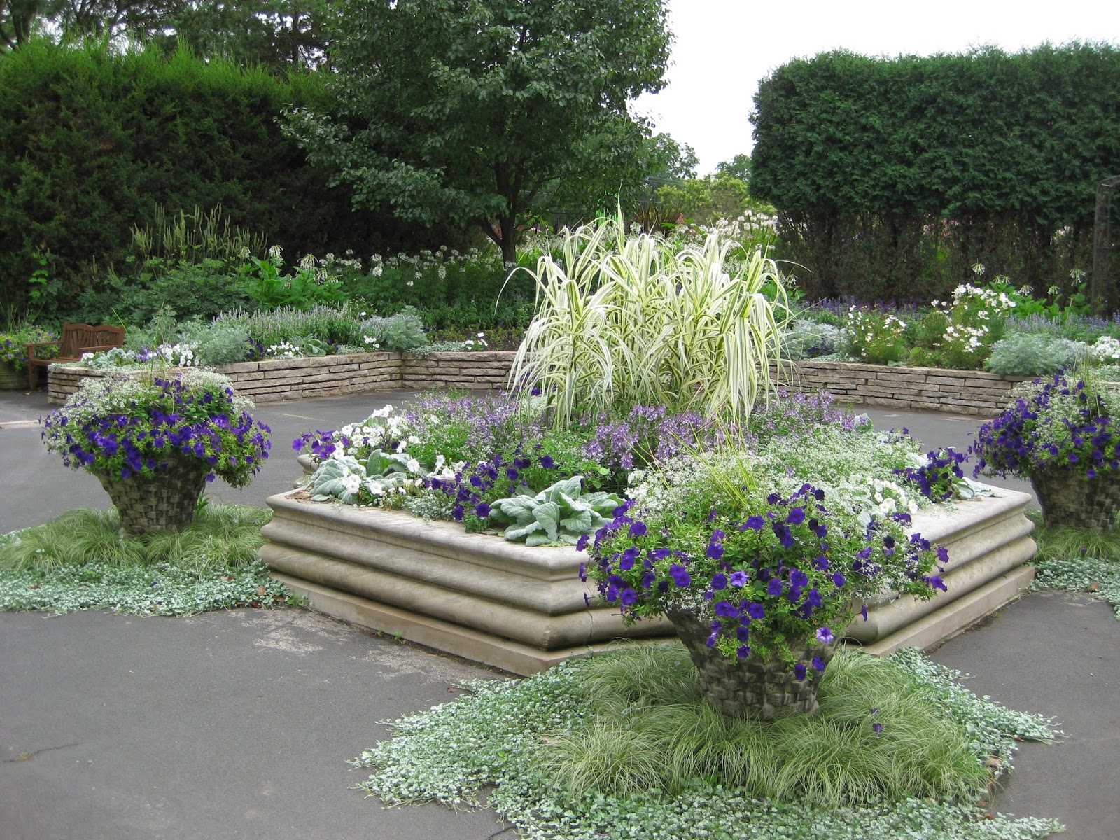 Future Plants By Randy Stewart Blue Spirea